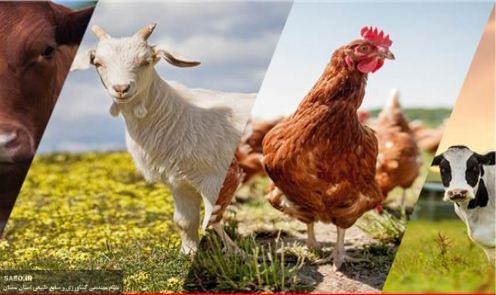 عنوان نمایشگاه